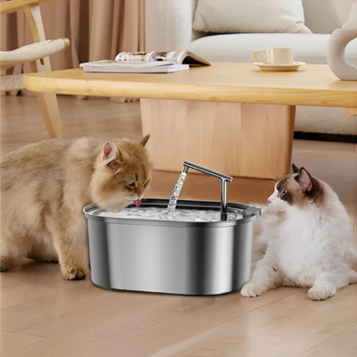 Comment choisir la fontaine à eau de son chat