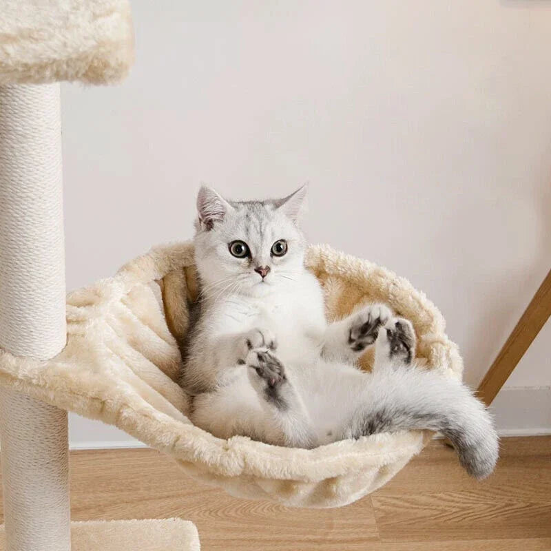 Hamac Arbre à chat