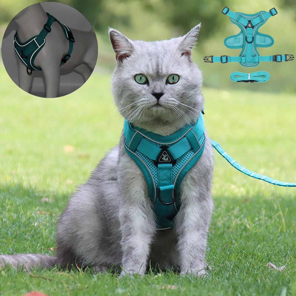 Harnais pour Chat