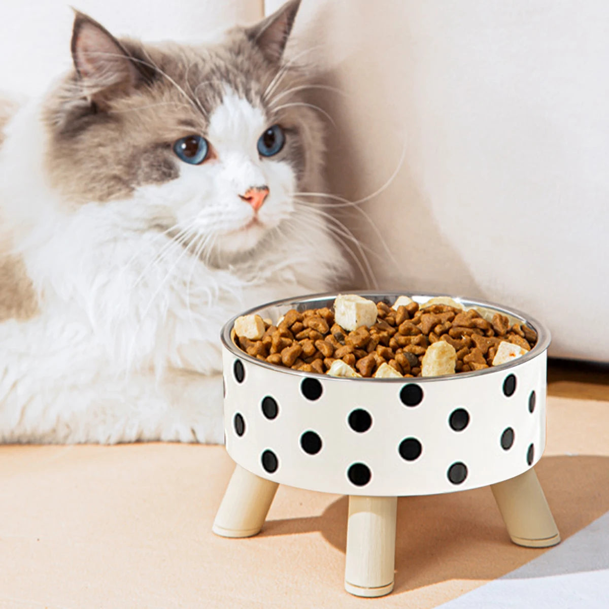 Gamelle pour chat surélevée