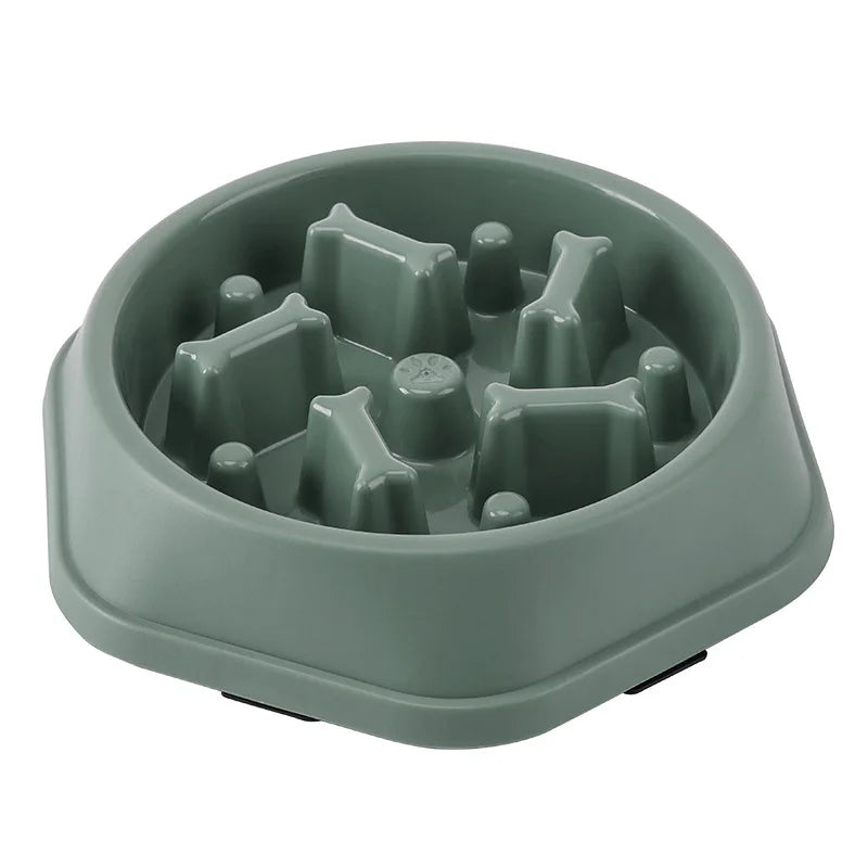 Gamelle pour chat Anti glouton
