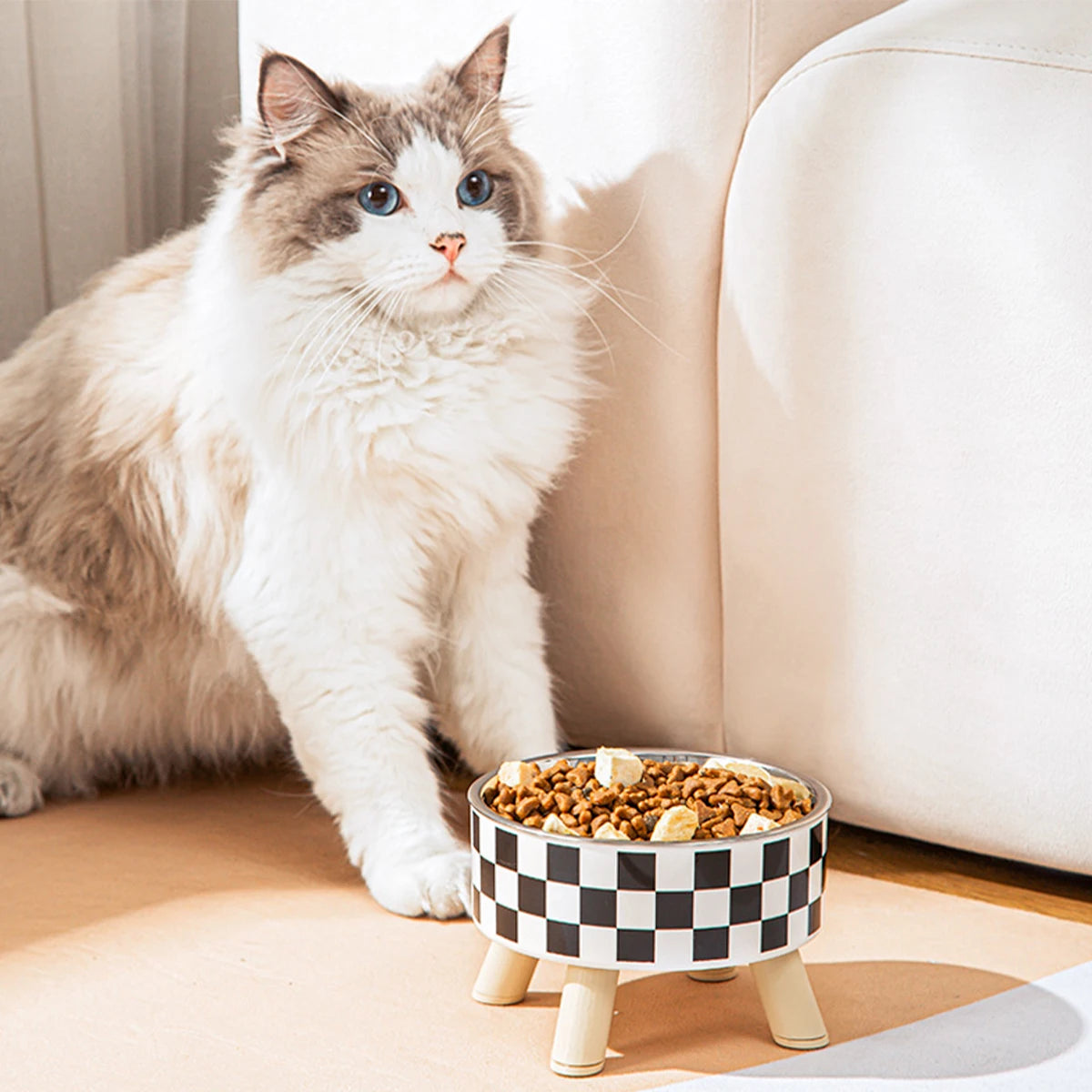 Gamelle pour chat surélevée