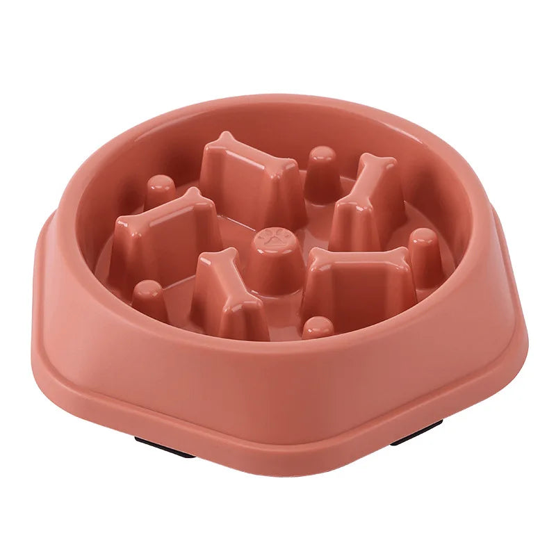Gamelle pour chat Anti glouton