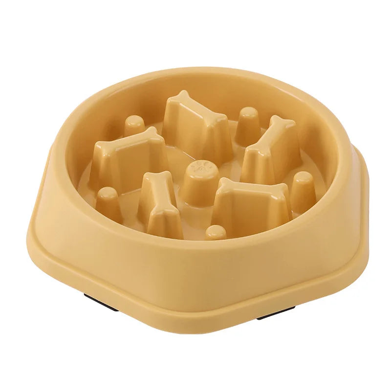 Gamelle pour chat Anti glouton