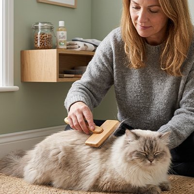 Brosse chat poil longâ