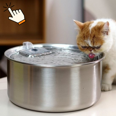 Fontaine à eau chat - inox