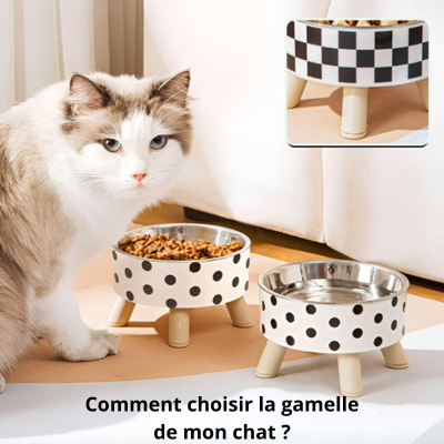 Comment choisir la gamelle de son chat ?