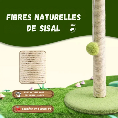 Arbre à chat petit palmier | Palm tree Cats™