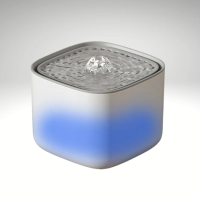 Fontaine à eau chat