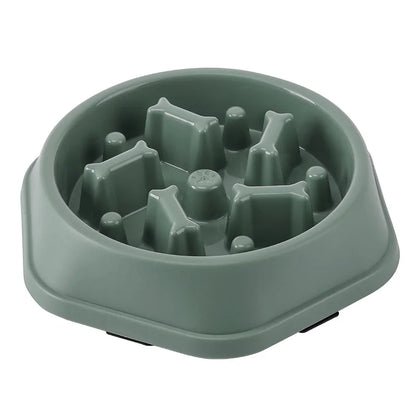 Gamelle pour chat Anti glouton