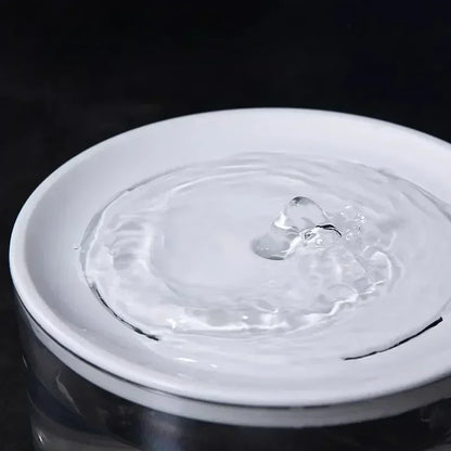 Fontaine à eau chat