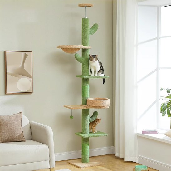 Arbre à chat