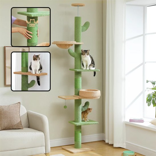 Arbre à chat