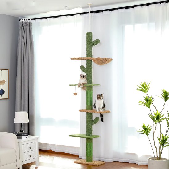 Arbre à chat