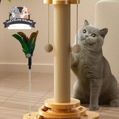 Arbre à chat bois | the Treewood ™ - Les Félins Malins