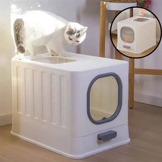 Bac litière chat
