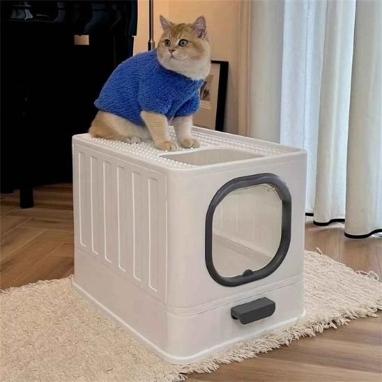 Bac litière chat