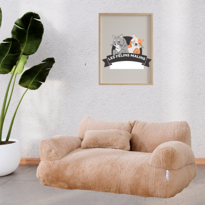 Canapé pour chat | Dodo Sofa™