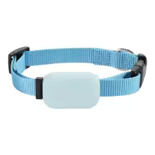 Collier pour chat GPS | UltraTrack