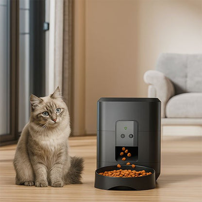 Distributeur de croquette pour chat​ 