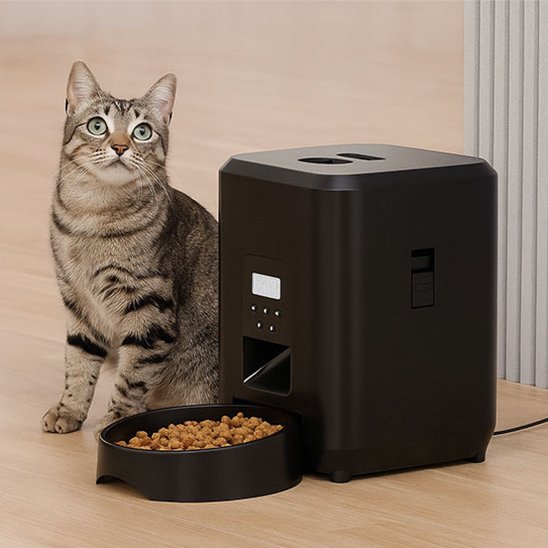 Distributeur de croquettes chat​