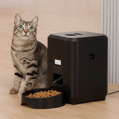 Distributeur de croquettes chat​