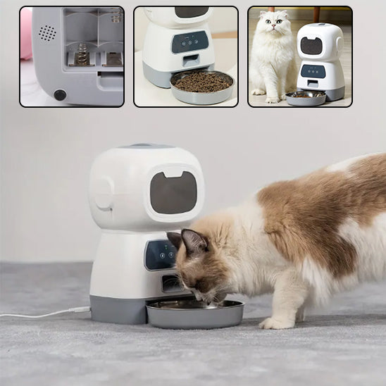 Distributeur de croquettes automatique | Autocroqs