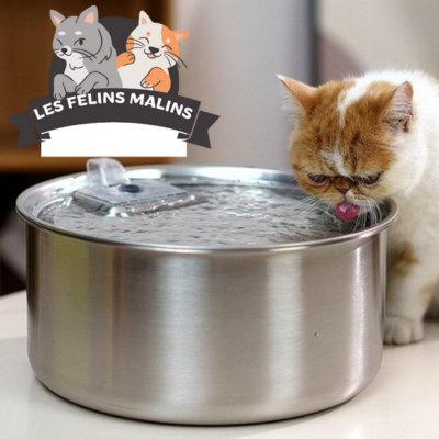 Fontaine à eau pour chat - Les Félins Malins