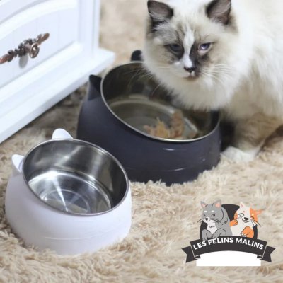 GAMELLE POUR CHAT INCLINÉE - Les Félins Malins