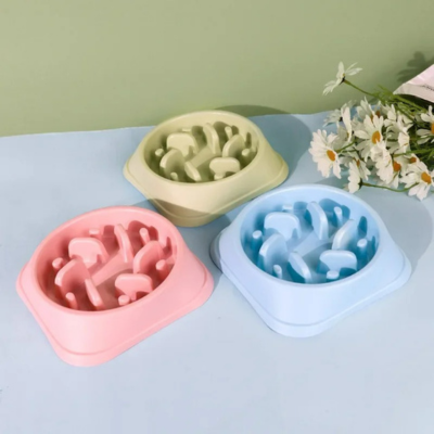 Gamelle pour chat Anti glouton