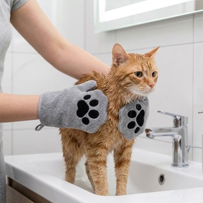 Gant de toilettage