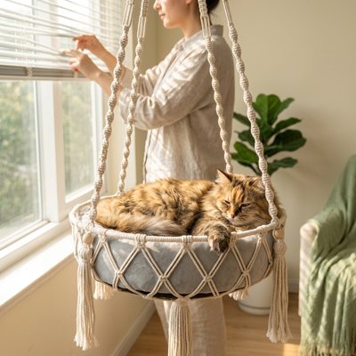 Hamac Chat
