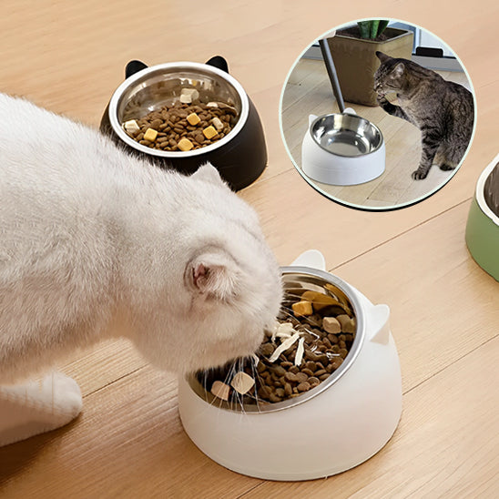 Gamelle pour chat inclinée