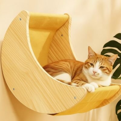 niche pour  chat 