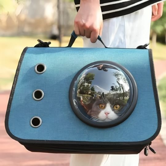 Sac de transport chat