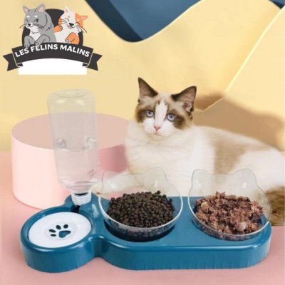 GAMELLE POUR CHAT|FOODRINK CATS™ - Les Félins Malins