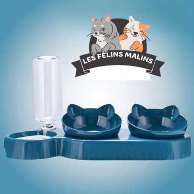 GAMELLE POUR CHAT|FOODRINK CATS™ - Les Félins Malins