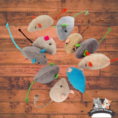 SOURIS HERBES A CHAT | CATNIP MOUSE™ - Les Félins Malins