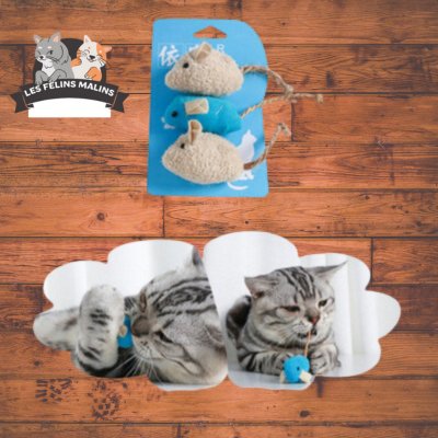 SOURIS HERBES A CHAT | CATNIP MOUSE™ - Les Félins Malins